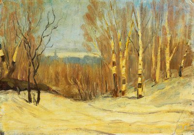 Winter bei Montreal von Maurice Galbraith Cullen